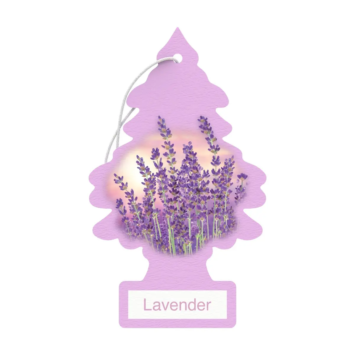 LT-U1P-10435-1 Lavender.webp